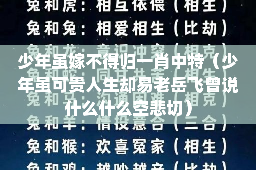 少年虽嫁不得归一肖中特（少年虽可贵人生却易老岳飞曾说什么什么空悲切）