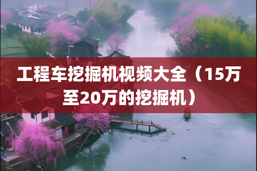 工程车挖掘机视频大全（15万至20万的挖掘机）