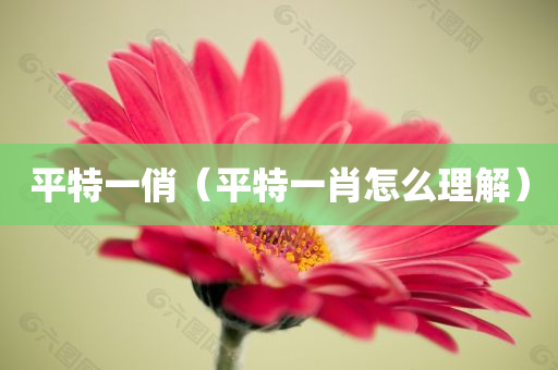 平特一俏（平特一肖怎么理解）