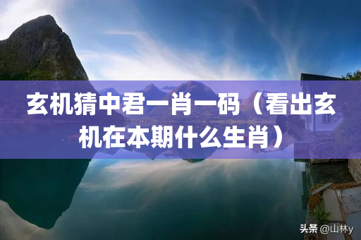 玄机猜中君一肖一码（看出玄机在本期什么生肖）