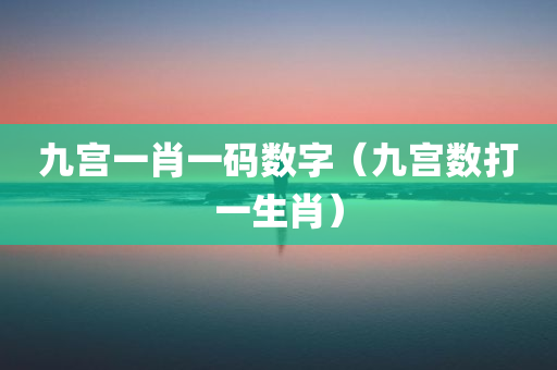 九宫一肖一码数字（九宫数打一生肖）