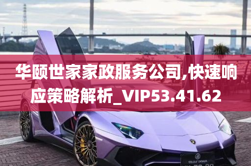 华颐世家家政服务公司,快速响应策略解析_VIP53.41.62