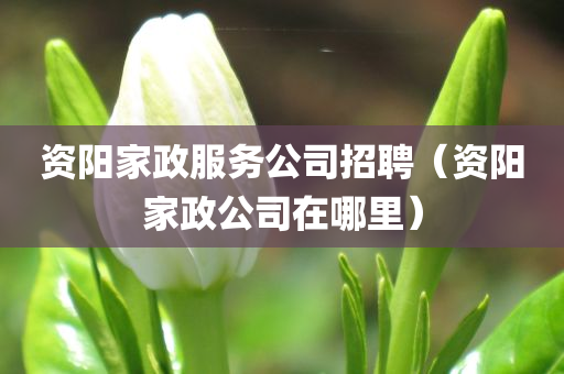 资阳家政服务公司招聘（资阳家政公司在哪里）