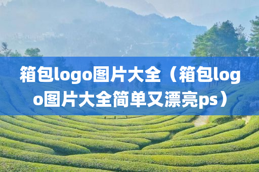 箱包logo图片大全（箱包logo图片大全简单又漂亮ps）