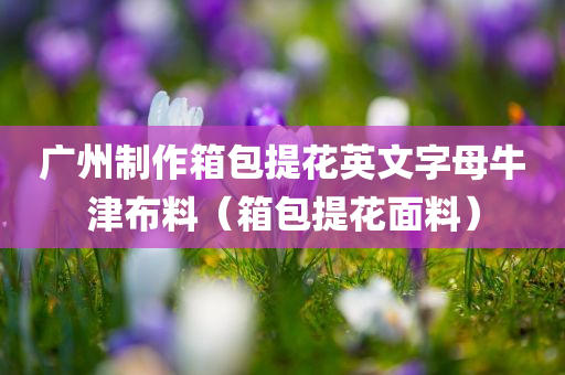 广州制作箱包提花英文字母牛津布料（箱包提花面料）