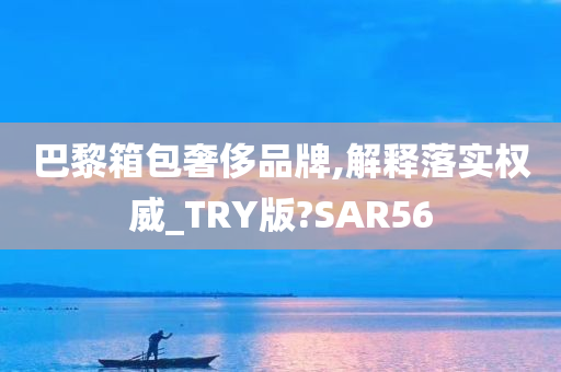 巴黎箱包奢侈品牌,解释落实权威_TRY版?SAR56