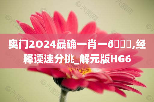 奥门2O24最确一肖一🐎,经释读速分挑_解元版HG6