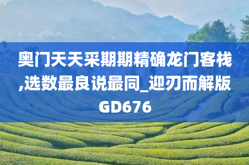 奥门天天采期期精确龙门客栈,选数最良说最同_迎刃而解版GD676