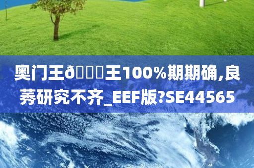 奥门王🀄王100%期期确,良莠研究不齐_EEF版?SE44565