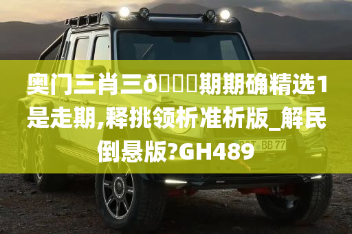 奥门三肖三🐎期期确精选1是走期,释挑领析准析版_解民倒悬版?GH489