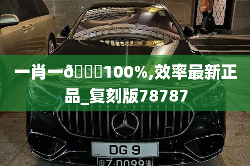 一肖一🐎100%,效率最新正品_复刻版78787