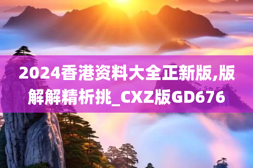 2024香港资料大全正新版,版解解精析挑_CXZ版GD676