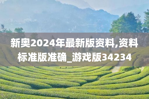 新奥2024年最新版资料,资料标准版准确_游戏版34234