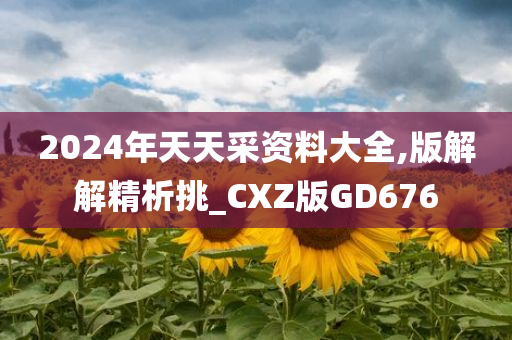 2024年天天采资料大全,版解解精析挑_CXZ版GD676