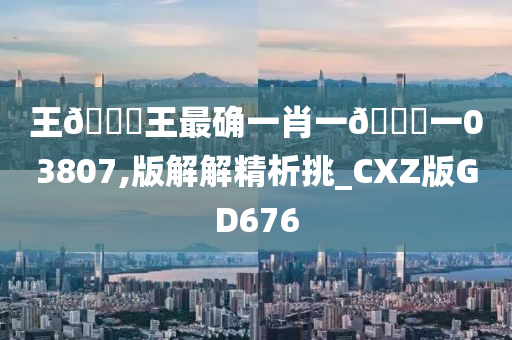 王🀄王最确一肖一🐎一03807,版解解精析挑_CXZ版GD676