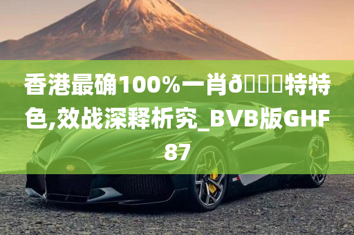 香港最确100%一肖🀄特特色,效战深释析究_BVB版GHF87