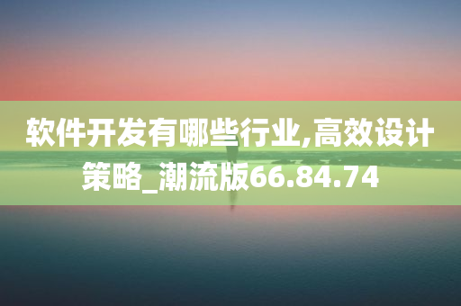 软件开发有哪些行业,高效设计策略_潮流版66.84.74