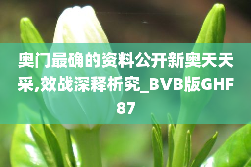 奥门最确的资料公开新奥天天采,效战深释析究_BVB版GHF87