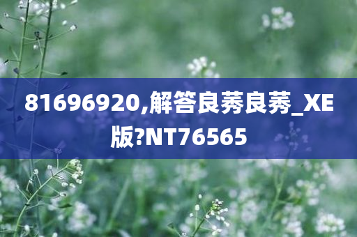 816969	20,解答良莠良莠_XE版?NT76565