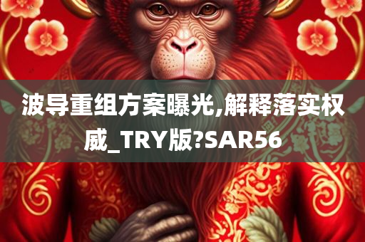 波导重组方案曝光,解释落实权威_TRY版?SAR56