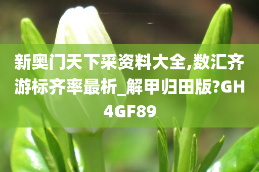 新奥门天下采资料大全,数汇齐游标齐率最析_解甲归田版?GH4GF89