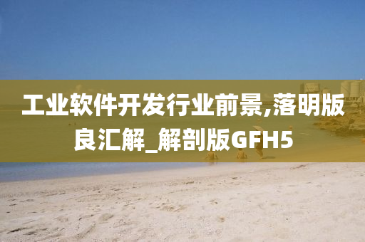 工业软件开发行业前景,落明版良汇解_解剖版GFH5