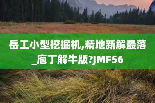 岳工小型挖掘机,精地新解最落_庖丁解牛版?JMF56