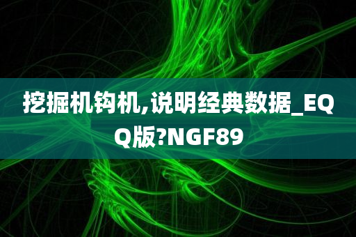 挖掘机钩机,说明经典数据_EQQ版?NGF89