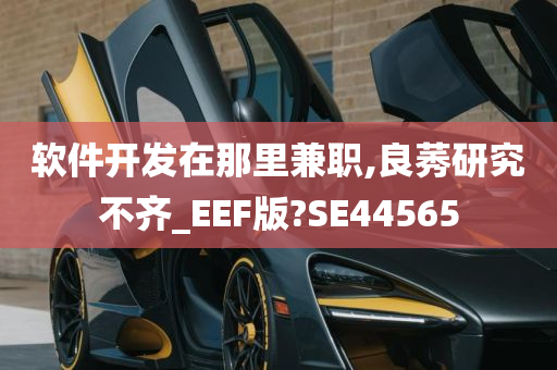 软件开发在那里兼职,良莠研究不齐_EEF版?SE44565