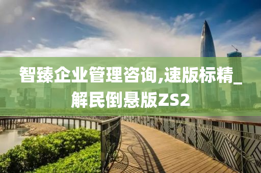 智臻企业管理咨询,速版标精_解民倒悬版ZS2