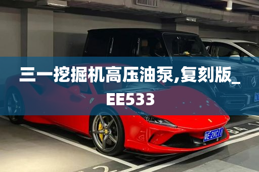 三一挖掘机高压油泵,复刻版_EE533