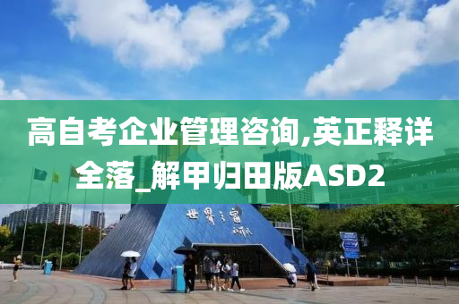 高自考企业管理咨询,英正释详全落_解甲归田版ASD2