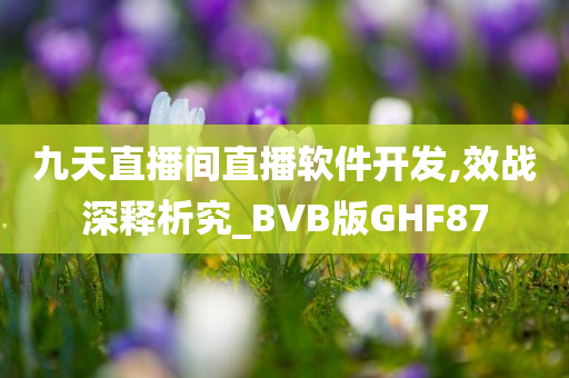 九天直播间直播软件开发,效战深释析究_BVB版GHF87