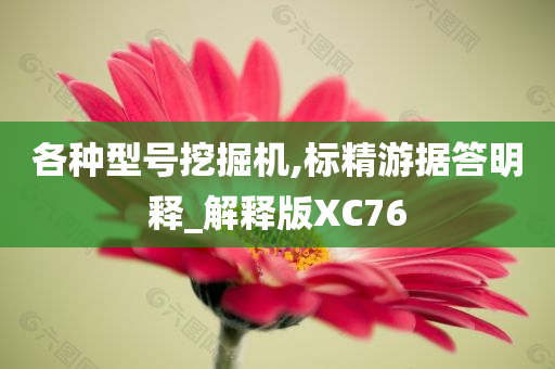 各种型号挖掘机,标精游据答明释_解释版XC76