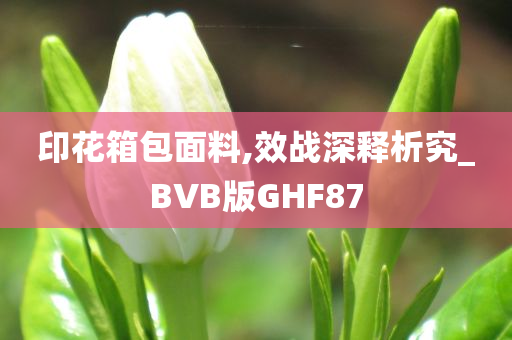 印花箱包面料,效战深释析究_BVB版GHF87