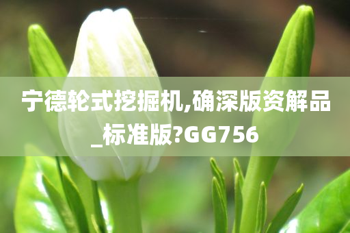 宁德轮式挖掘机,确深版资解品_标准版?GG756