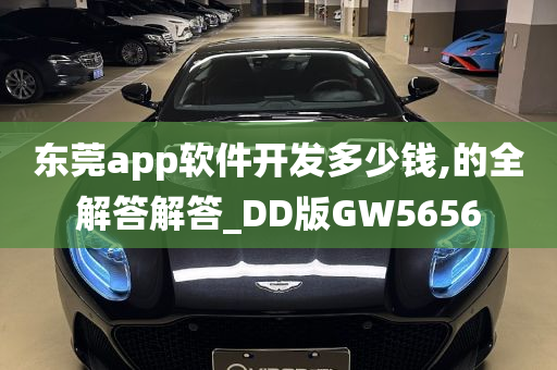 东莞app软件开发多少钱,的全解答解答_DD版GW5656