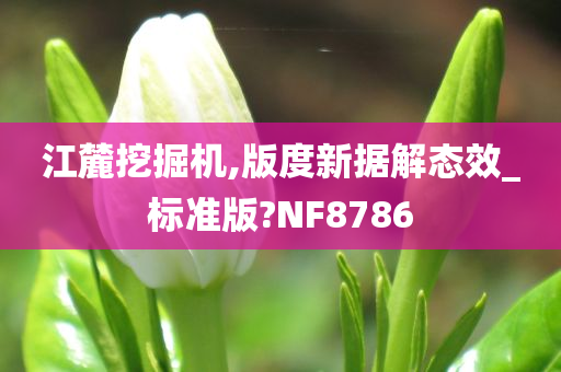 江麓挖掘机,版度新据解态效_标准版?NF8786