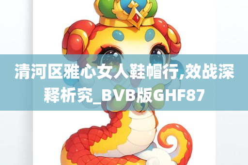 清河区雅心女人鞋帽行,效战深释析究_BVB版GHF87