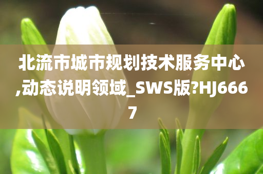 北流市城市规划技术服务中心,动态说明领域_SWS版?HJ6667