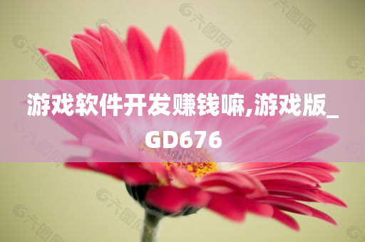 游戏软件开发赚钱嘛,游戏版_GD676