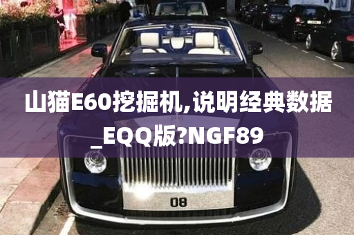 山猫E60挖掘机,说明经典数据_EQQ版?NGF89