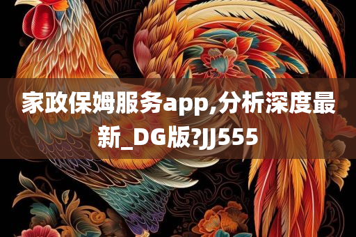 家政保姆服务app,分析深度最新_DG版?JJ555