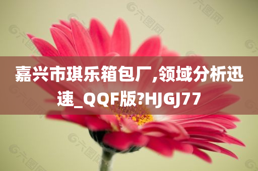 嘉兴市琪乐箱包厂,领域分析迅速_QQF版?HJGJ77