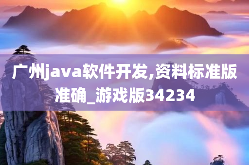 广州java软件开发,资料标准版准确_游戏版34234