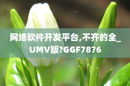 网络软件开发平台,不齐的全_UMV版?GGF7876