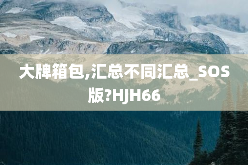 大牌箱包,汇总不同汇总_SOS版?HJH66