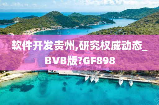 软件开发贵州,研究权威动态_BVB版?GF898