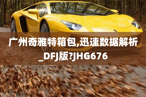 广州奇雅特箱包,迅速数据解析_DFJ版?JHG676