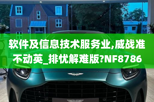 软件及信息技术服务业,威战准不动英_排忧解难版?NF8786